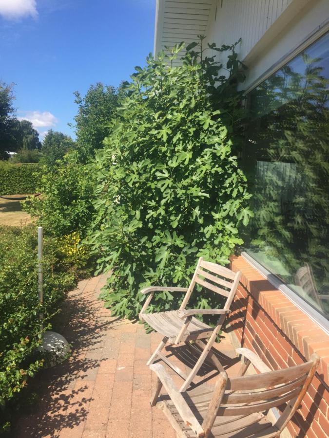Vaerelse Med Udsigt Over Limfjorden - Rolige Omgivelser Og Adgang Til Flot Have Nykobing Mors Zewnętrze zdjęcie